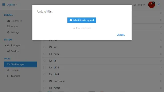 Web Panel Admin for VPS Agenti is a simple lightweight choice.