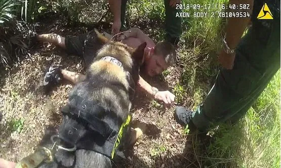 Police Dog Tacks and Takes Down Man Who Tried Kidnapping Baby Through The Kids Window