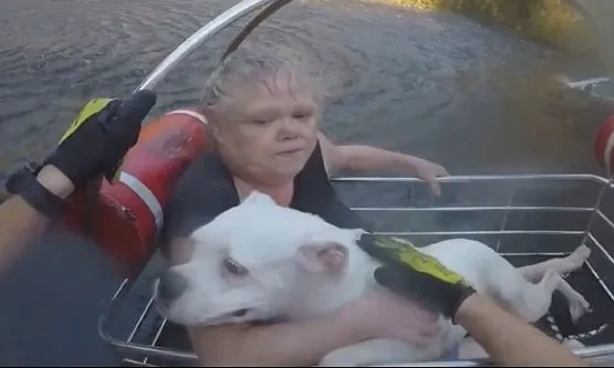 Coast Guard Rescues Two People and Six Dogs from Flooded Home