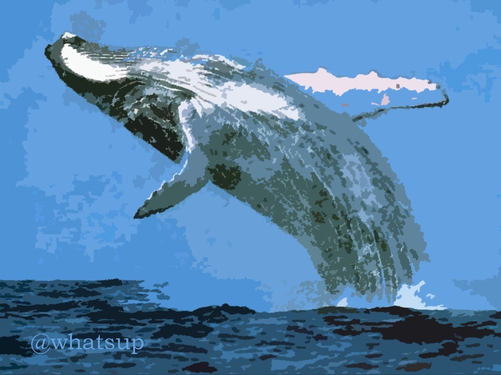 Remembering the Whale Experiment - Thinking About Distribution