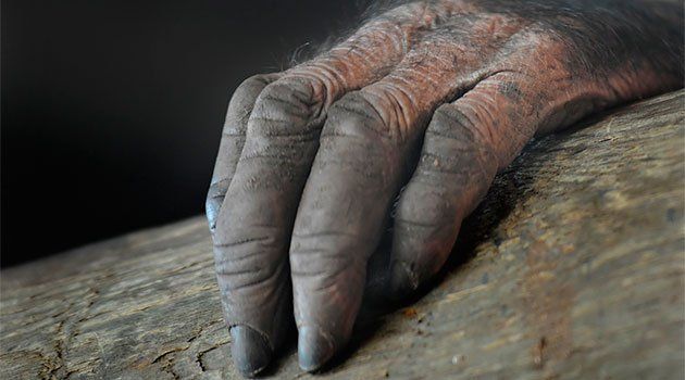 Leyendas Urbanas: La Mano Peluda