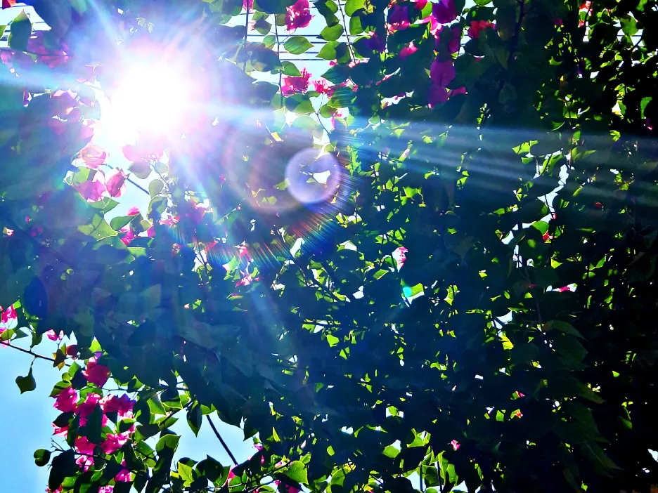 Visual Art Contest - Sol ~ Art of light - Ntopaz.