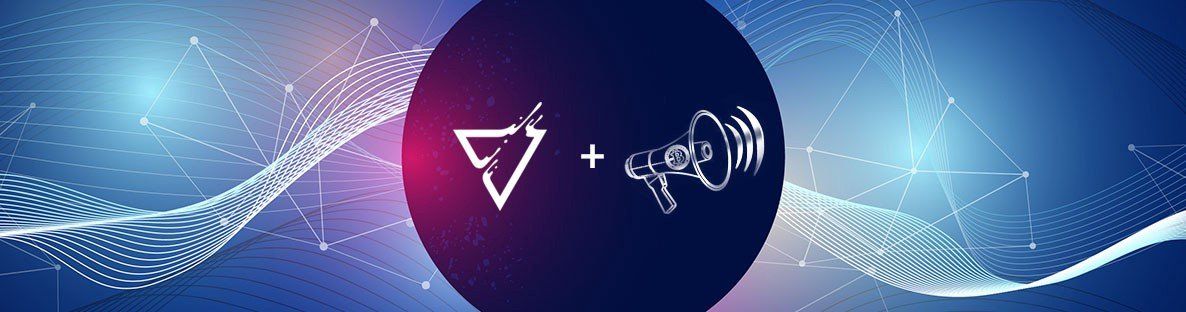 All about VOISE project: description, goals, plans, prospects