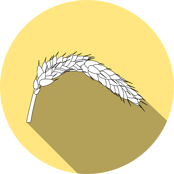بیماری سلیاک