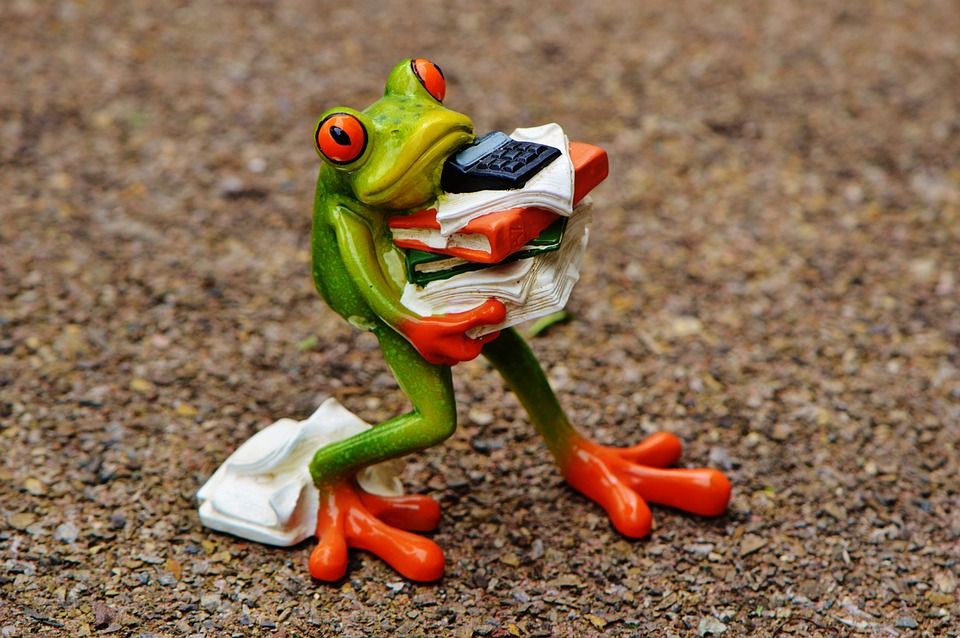 Boa segunda-feira pra todos!
