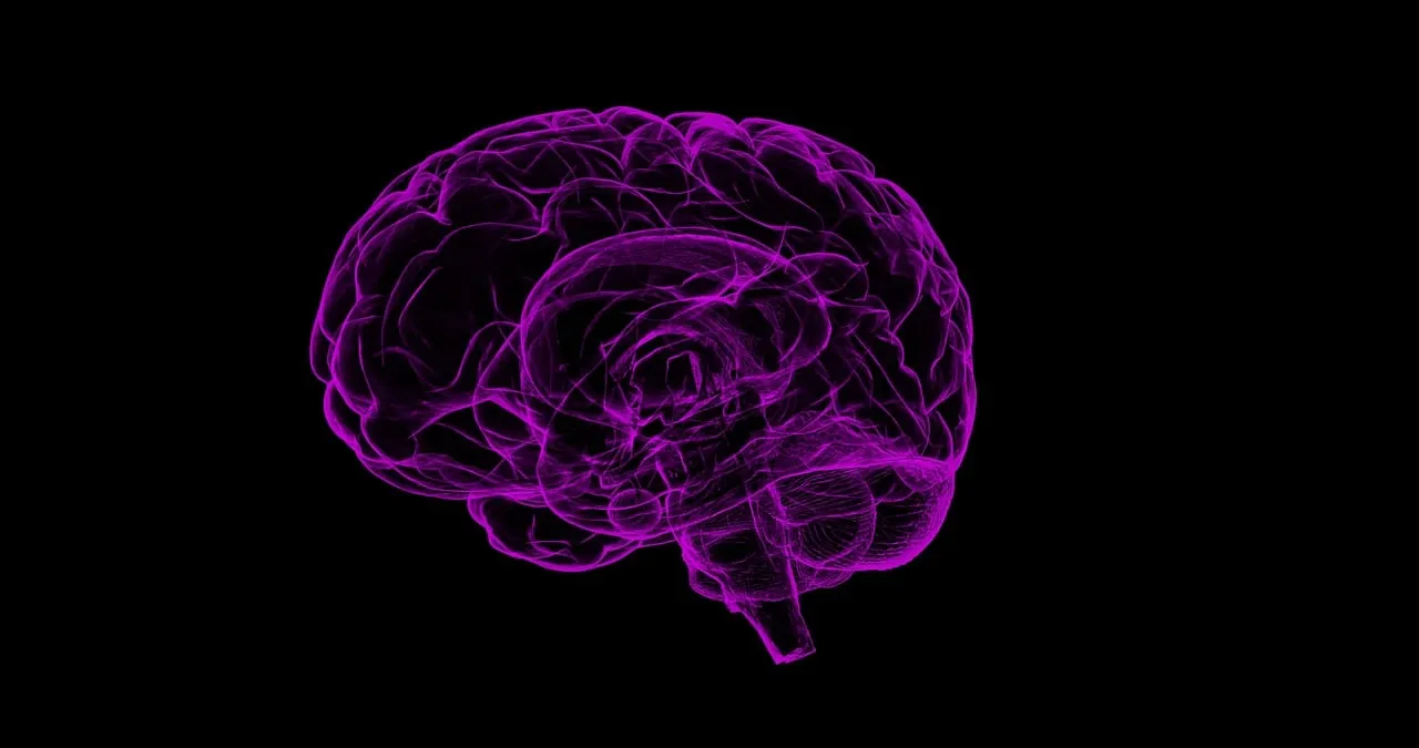Some Bad Habits Can Cause Serious Harm To The Brain!