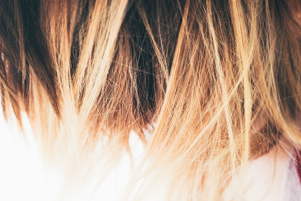Science Challenge Result # 3 - What is your hair made of?