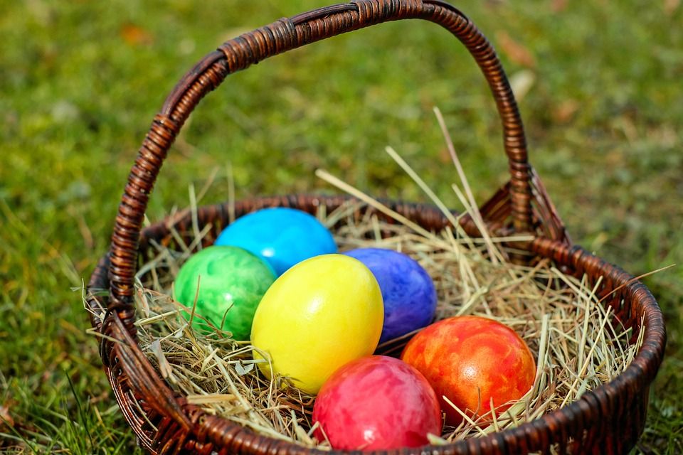 Ovos coloridos