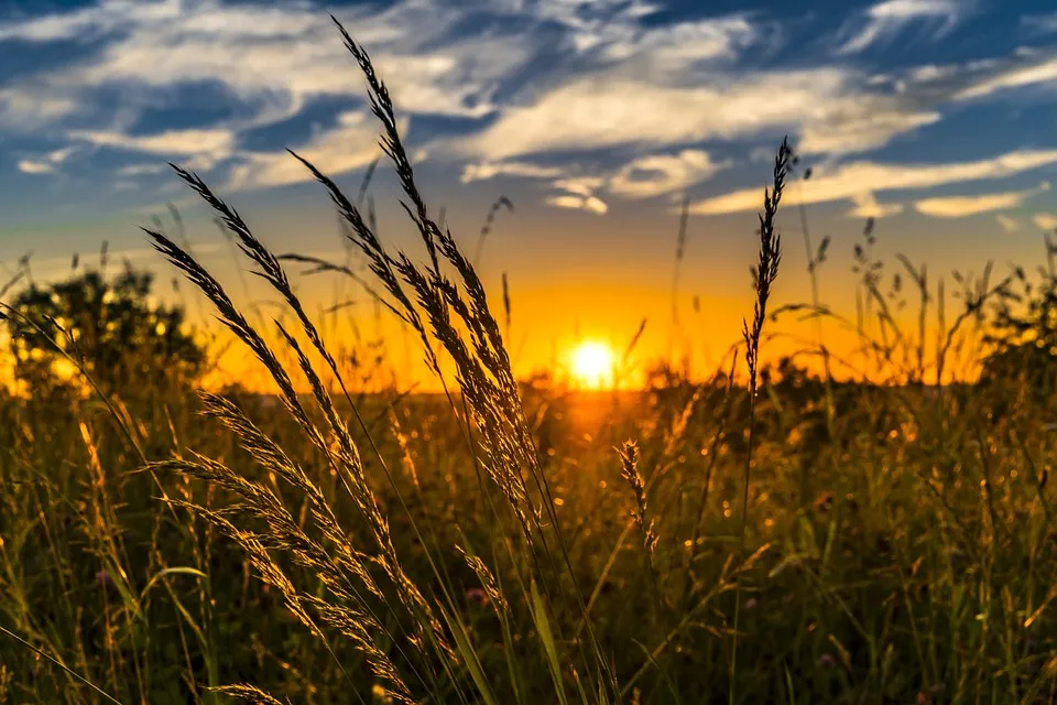Crepúsculo vespertino