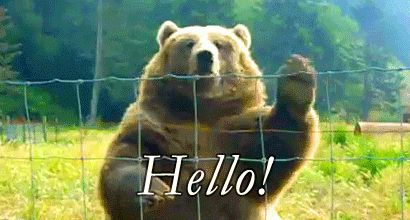 Hello Steem!
