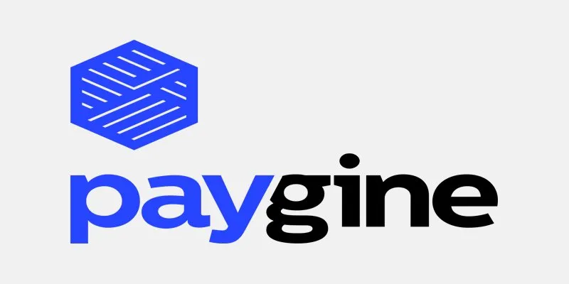 INTRODUCING AN OPEN FINANCIAL PLATFORM WHICH IS PAYGINE