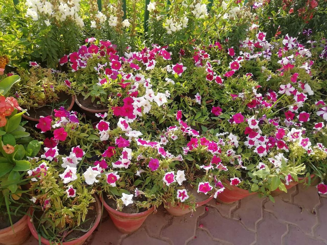Beauty of nature