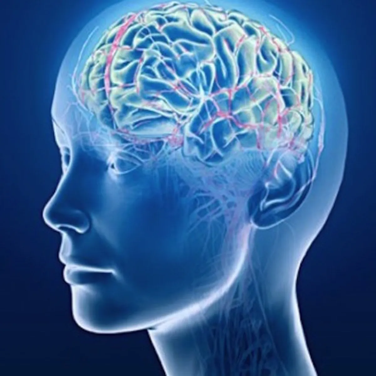 Way to make yourself genius and keep your brain alive. 25th Neurobic Exercise