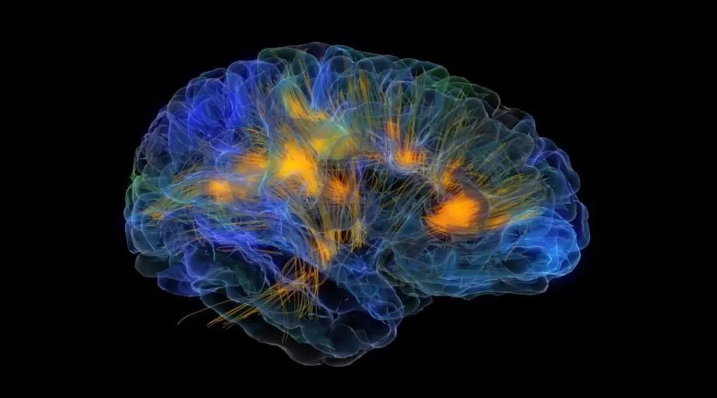 Way to make yourself genius and keep your brain alive. 20th Neurobic Excerise
