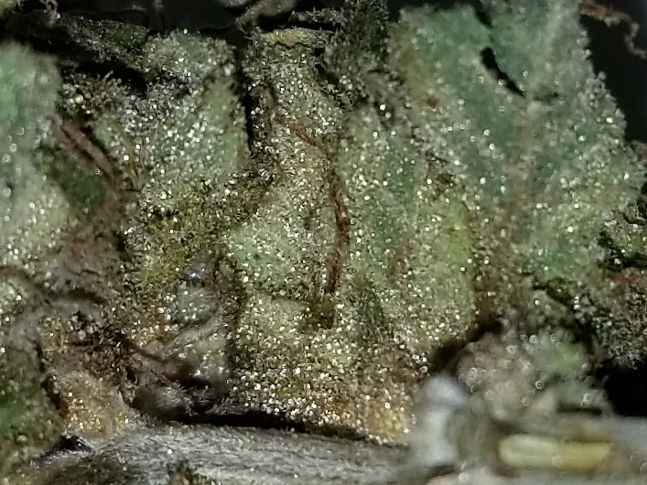 20191109_172653.jpg