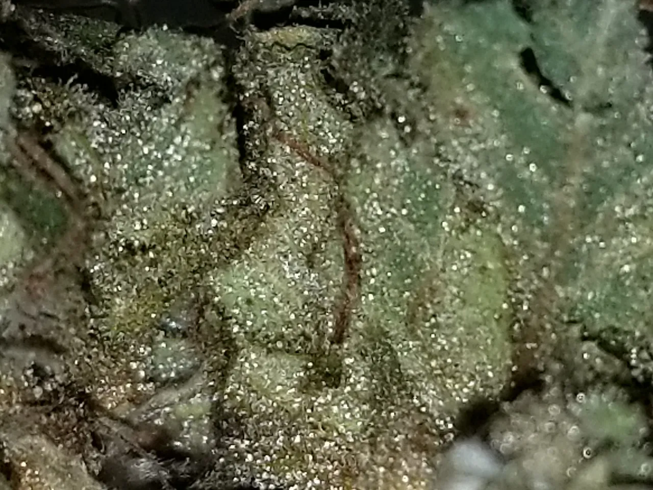 20191109_172700.jpg