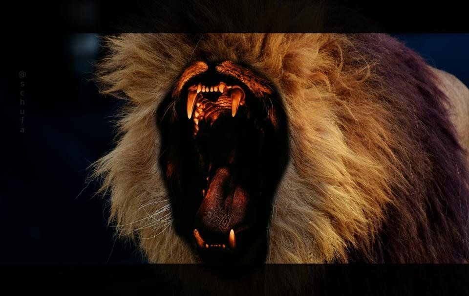 ART - LionMaul