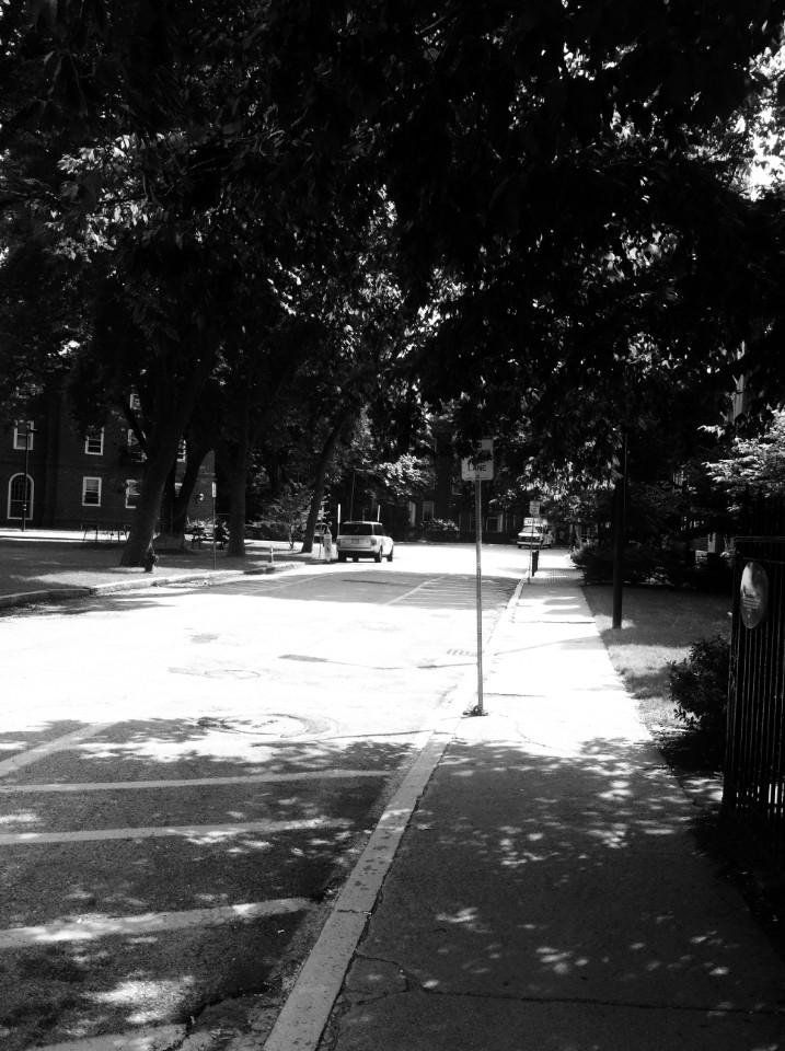 #Seven day black and white challenge｜Day 06