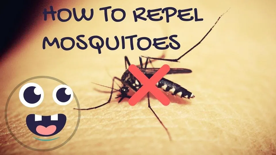 How to repel mosquitoes
