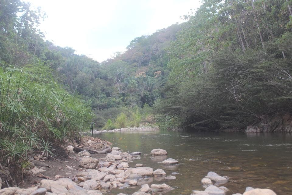 PIEDRA MOJADA