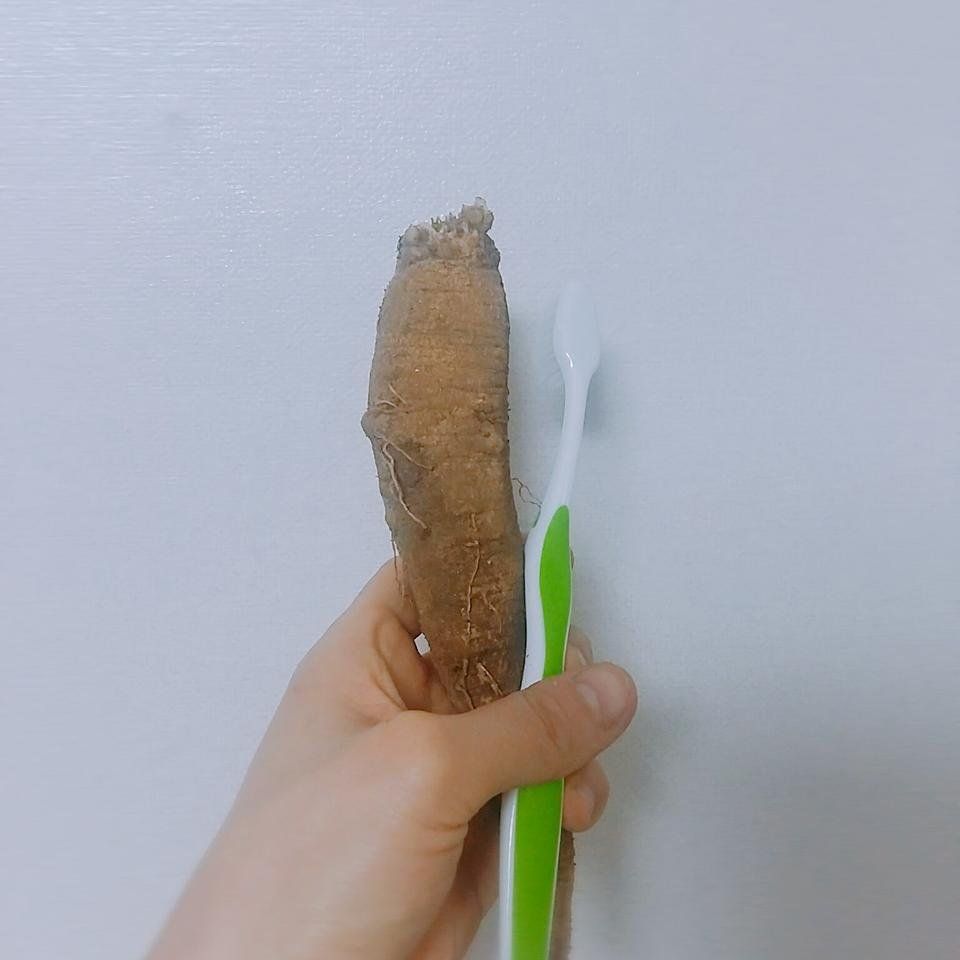 너도 언젠간 만날수 있겠지?😉