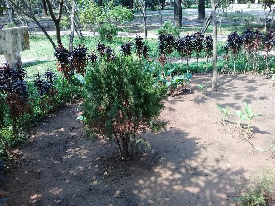 Beautiful Bangladesh