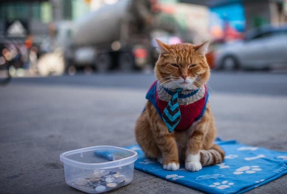 Modern & Digital street beggar in the photo.