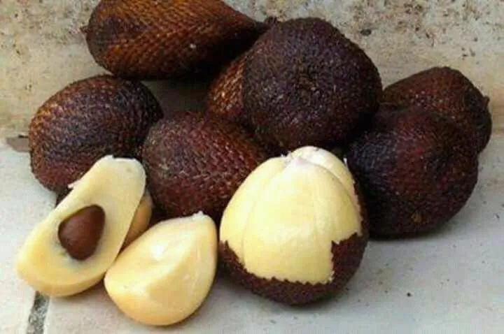 Salak fruit is one of the fruits that contain nutrients.
