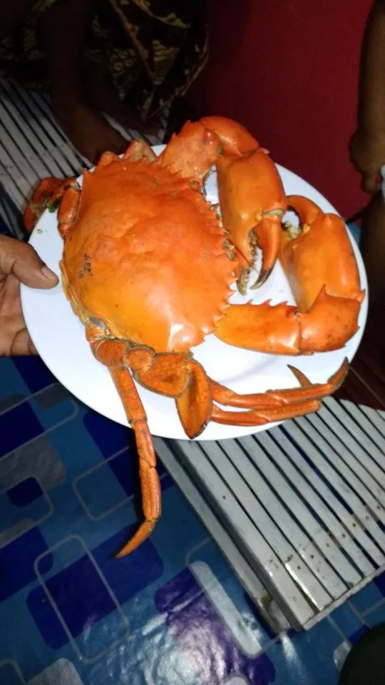 Kepiting jumbo
