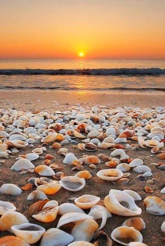 Pelangi Pantai Dunia