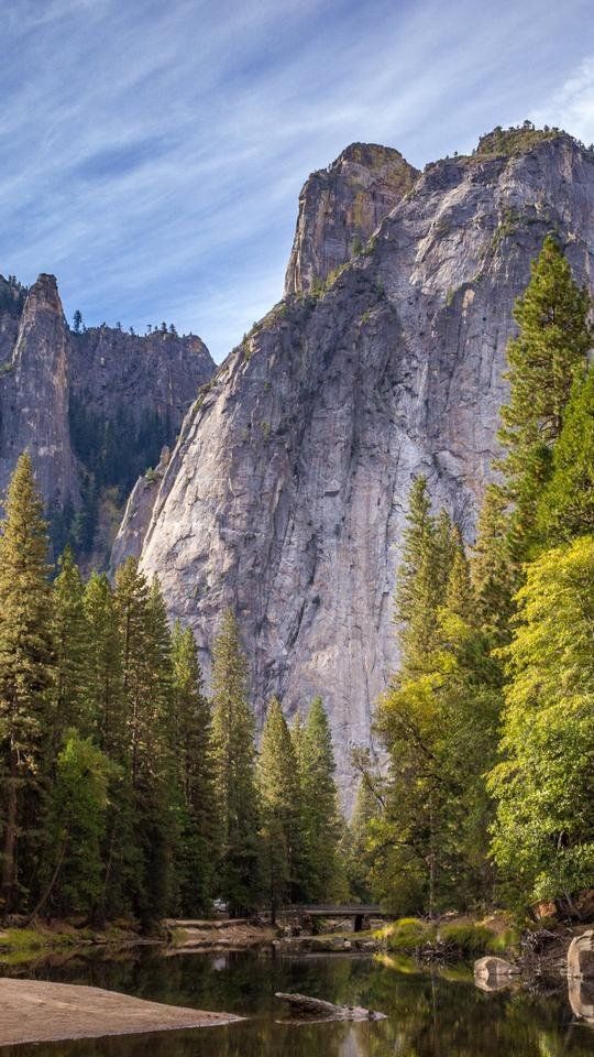 MOUNTAIN TREES