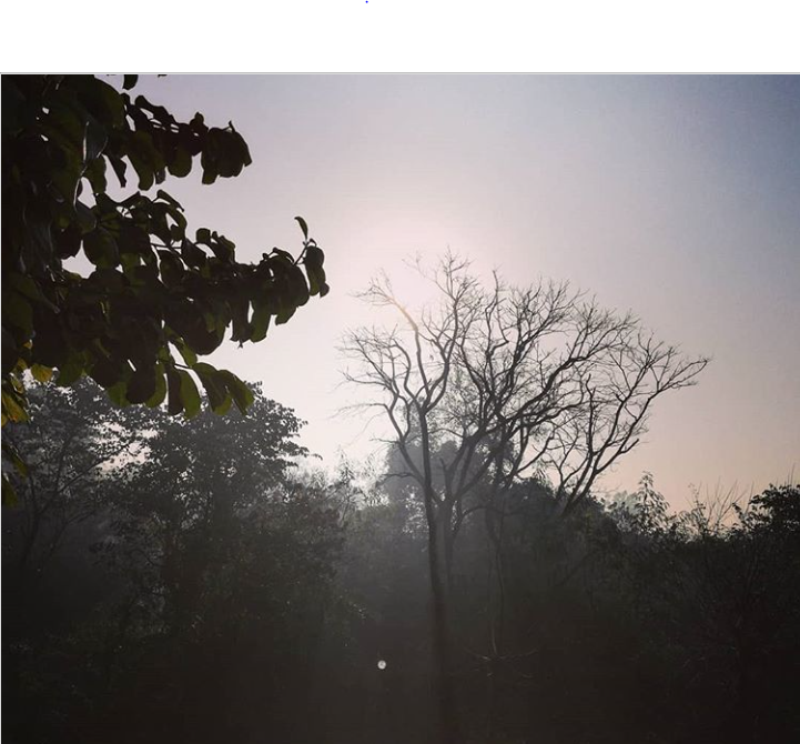 SUNLIGHT