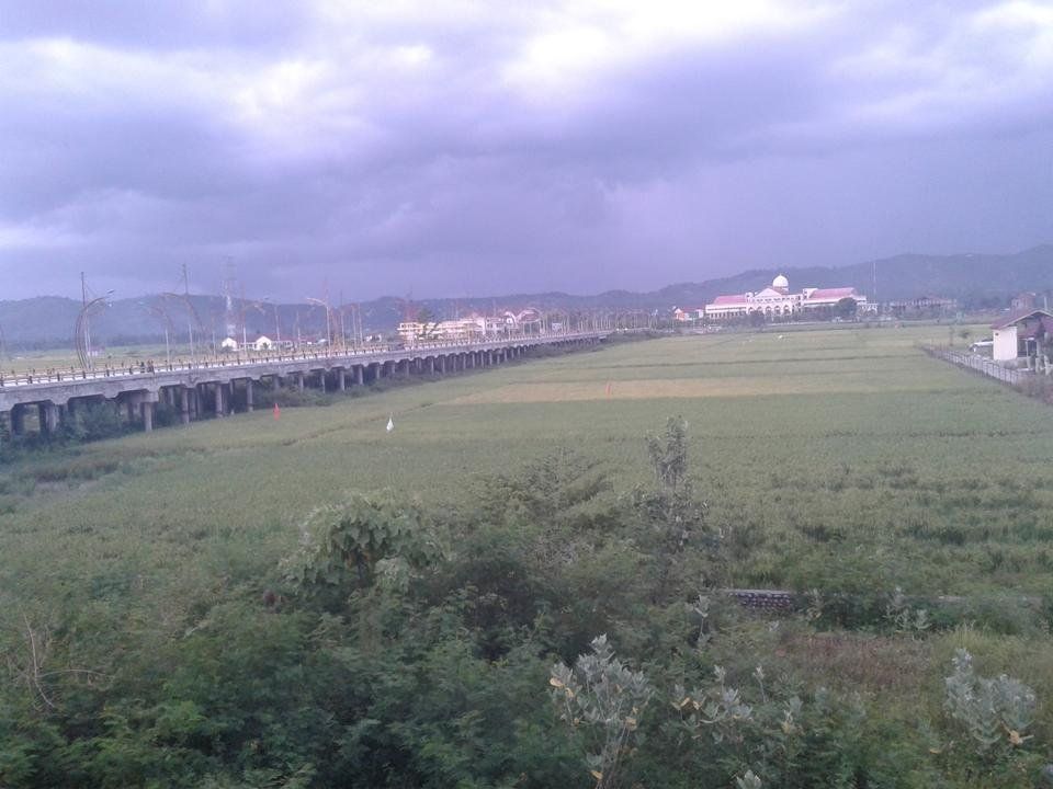 Beautiful rice paddies
