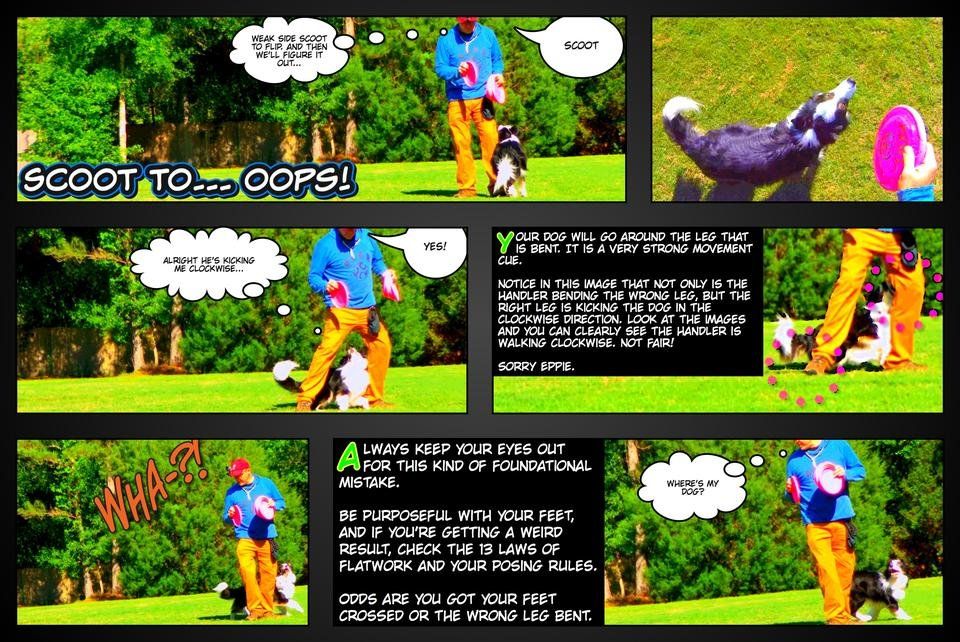 Disc Dog Freestyle Instructional Graphic Novel