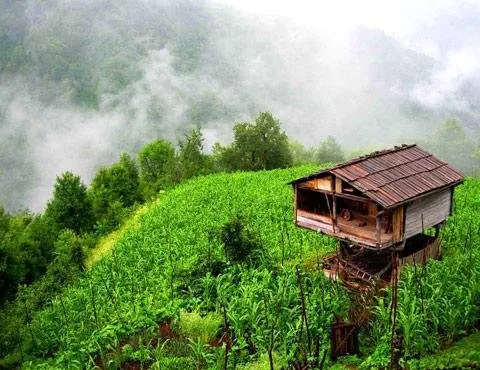 beautiful landscape what city ?coment 