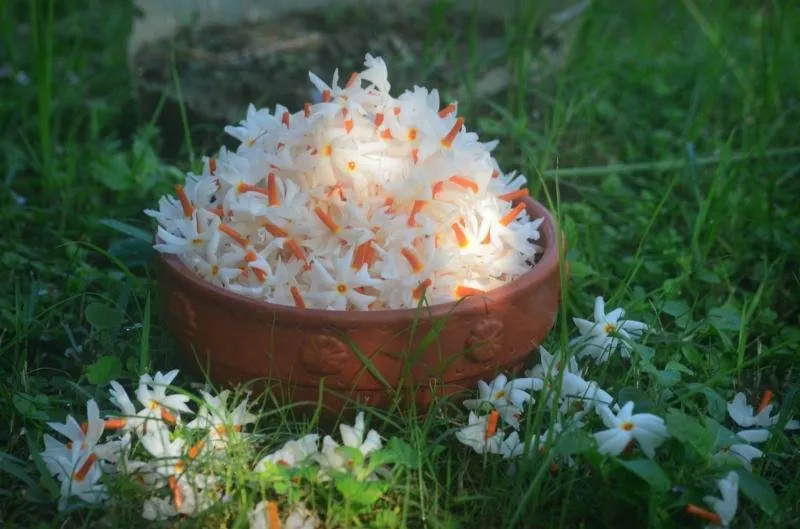 Beloved, love greetings
