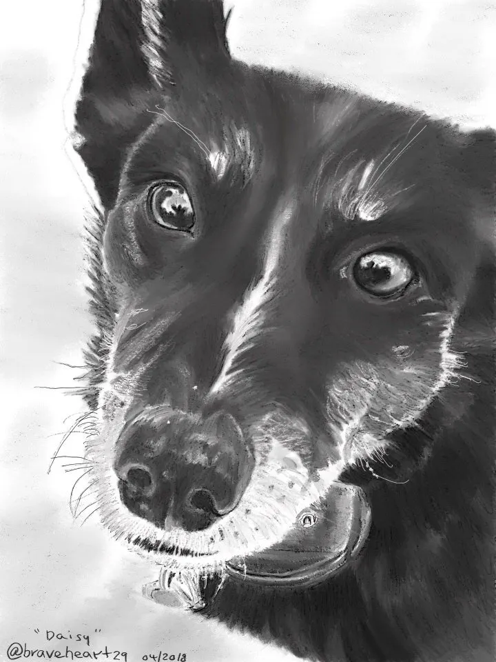 Original Drawing - Happy Ending for "Daisy"