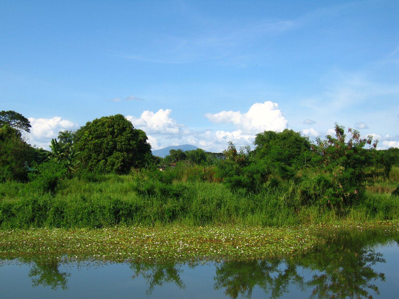 Hart Schlafen? Kann man lernen. Apalit, Philippinen. #3