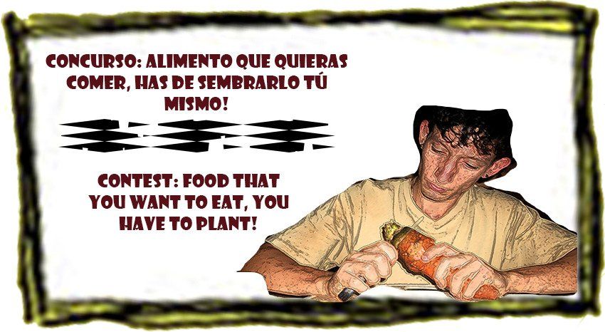 GANADORES DEL CONCURSO 2/4 / WINNERS OF THE CONTEST 2/4: Food that you want to eat, you have to plant! / Alimento que quieras comer, has de sembrarlo tú mismo!