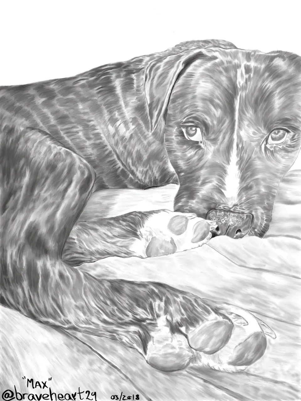Original Drawing- Maximilian Chesterfield Winklebottom or Just "Max"