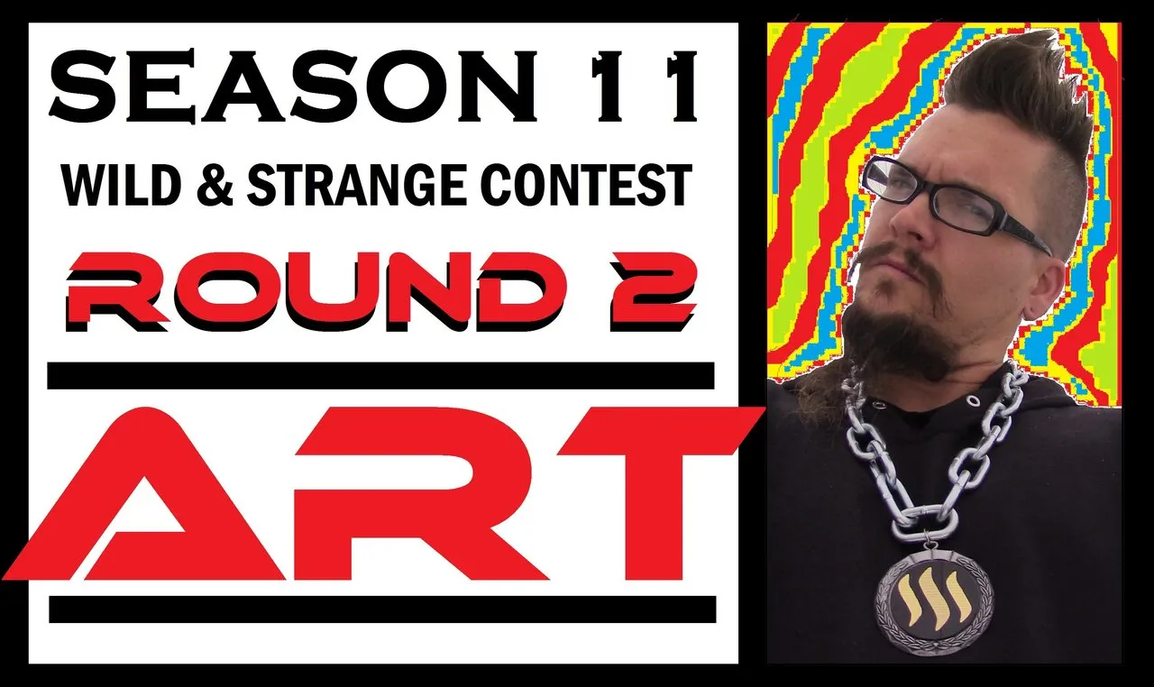 WILD & STRANGE CONCOURS SAISON 11 TOUR 2 - ART
