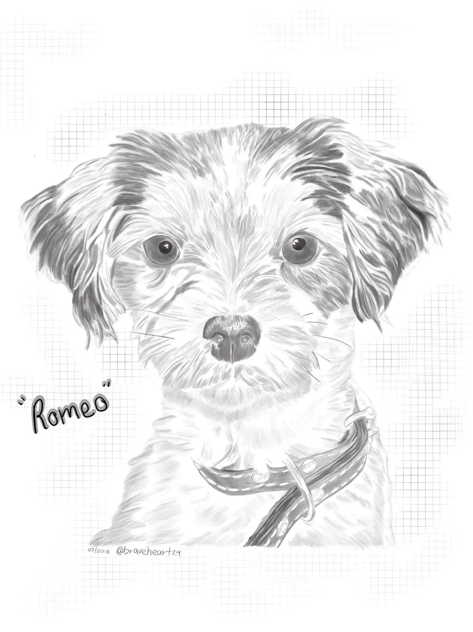 Original drawing -  "Romeo's" Abduction