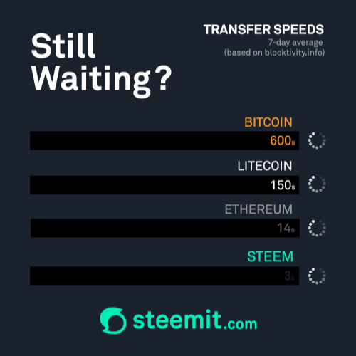 Why I Am Still Here.
