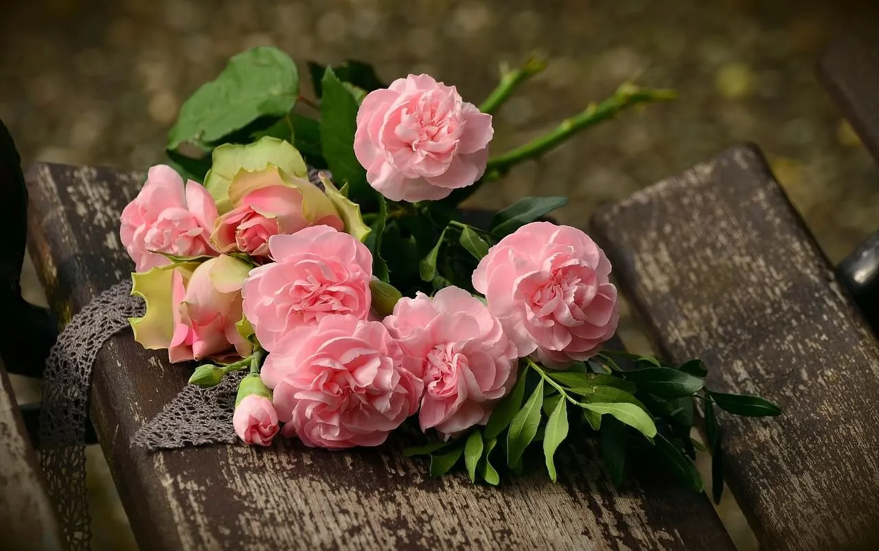 I like flowers very much 58
