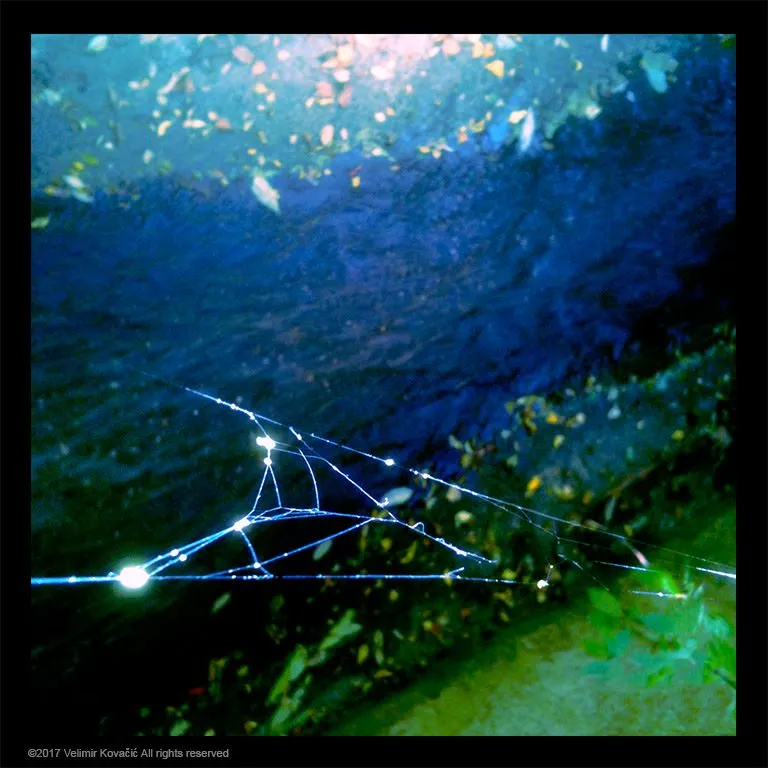 Original Art Photography