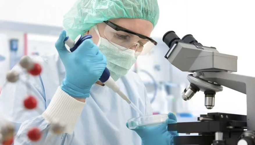 Human eggs developed to development in lab: specialists
