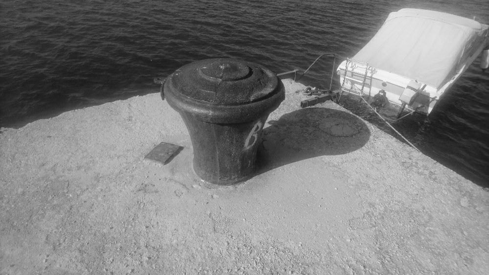 The Seven Day B&W Challenge - Day 2