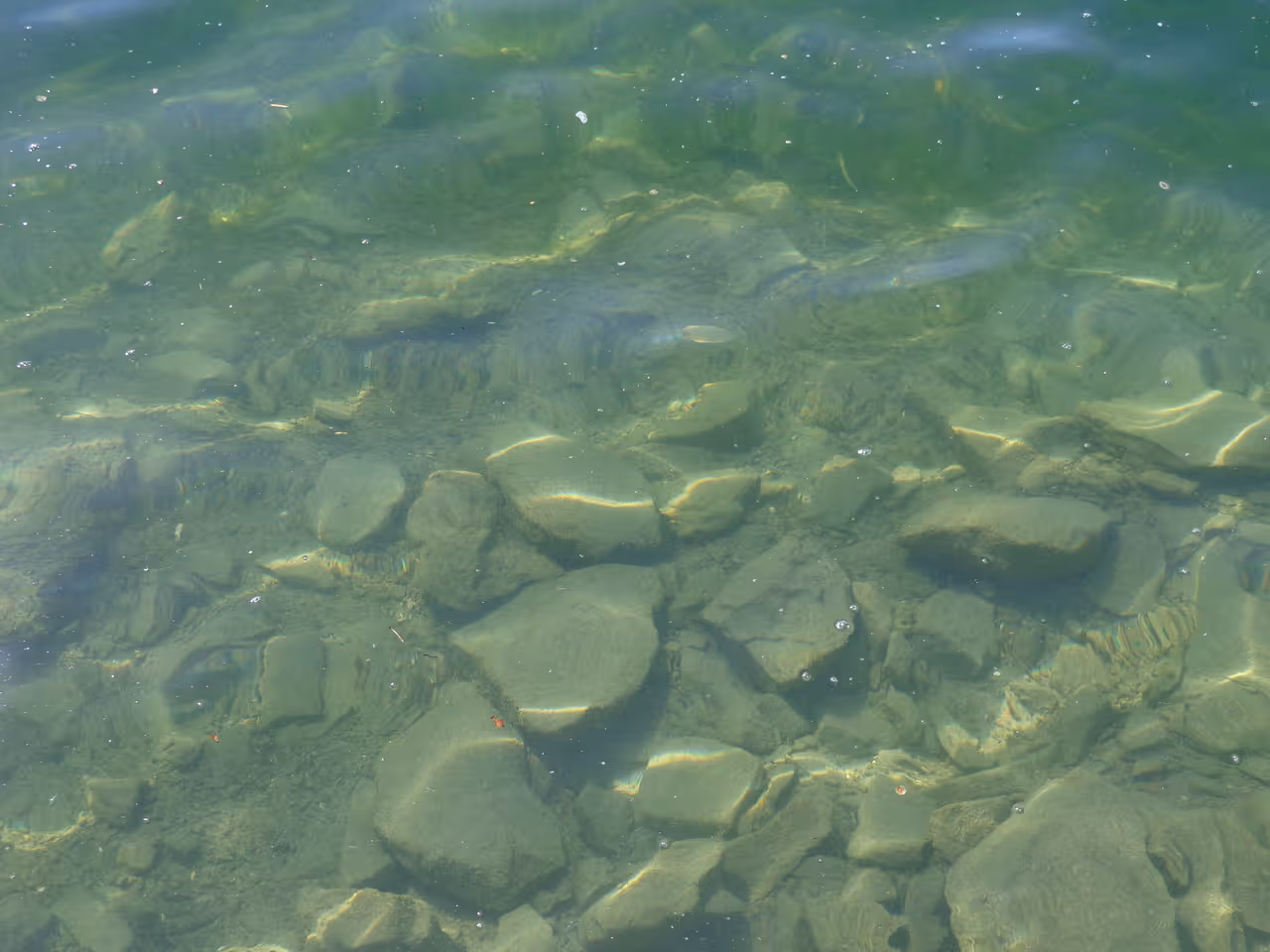 Auto Level correction using paint.NET