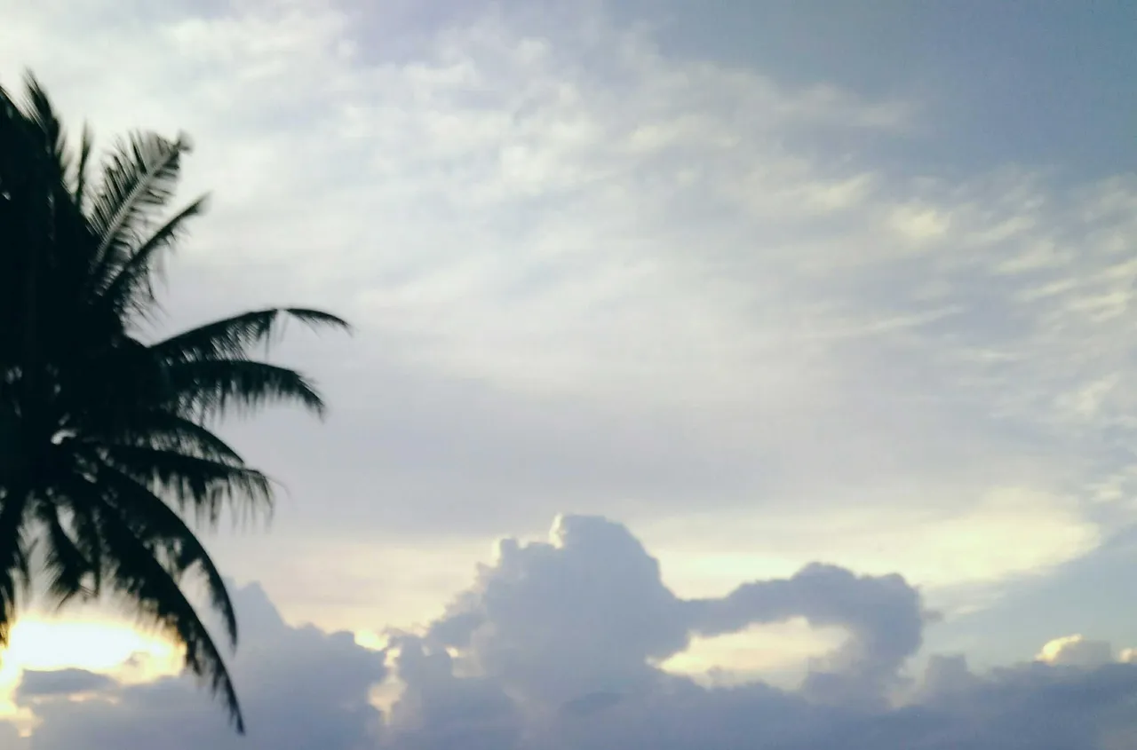 beautiful scenery in life