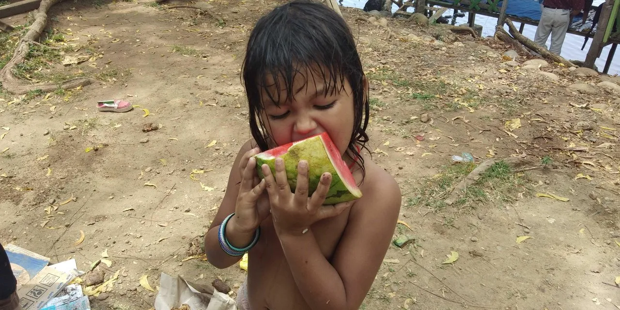 enjoy watermelon fruit